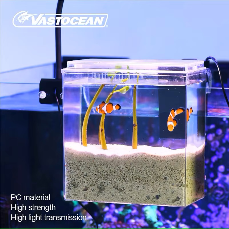 VASTOCEAN Balık Tankı Harici B - Marine Aquarium Protein Skimmer incelemesi ve fiyatı