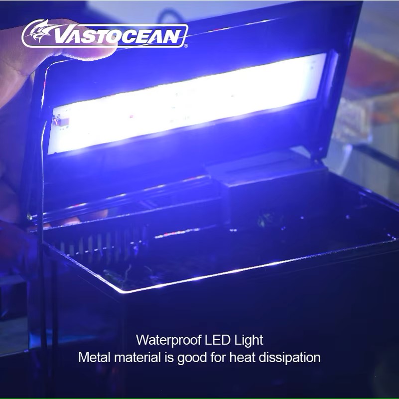 VASTOCEAN Balık Tankı Harici B - Marine Aquarium Protein Skimmer incelemesi ve fiyatı
