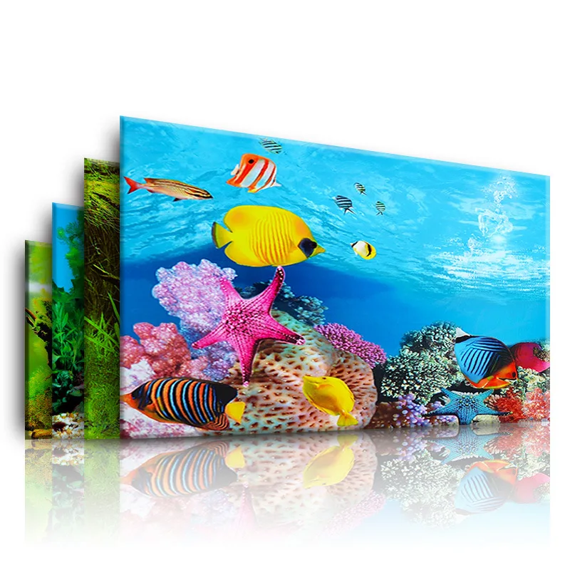 Akvaryum için arka plan 3d Eti - Marine Aquarium Aquascape incelemesi ve fiyatı