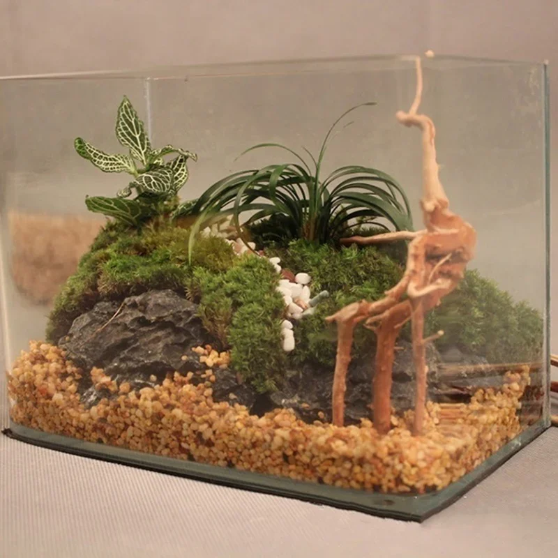 Doğal ağaç gövdesi Driftwood a - Marine Aquarium Aquascape incelemesi ve fiyatı