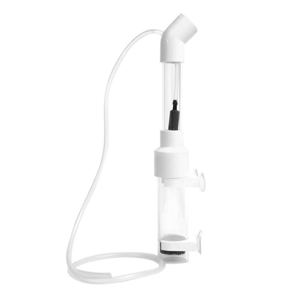 40mm Kuluçka Makinesi Balık Ku - Marine Aquarium Kit incelemesi ve fiyatı