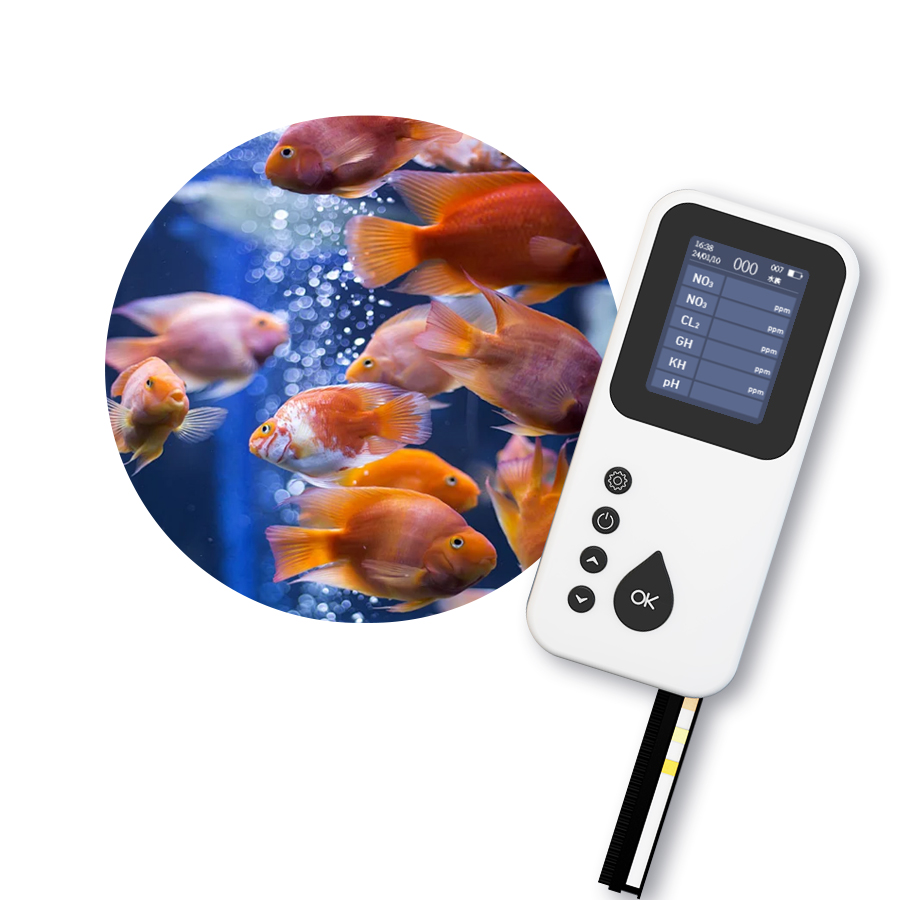 Taşınabilir TS-1000 Dijital Su - Aquarium & Marine Museum Ums incelemesi ve fiyatı