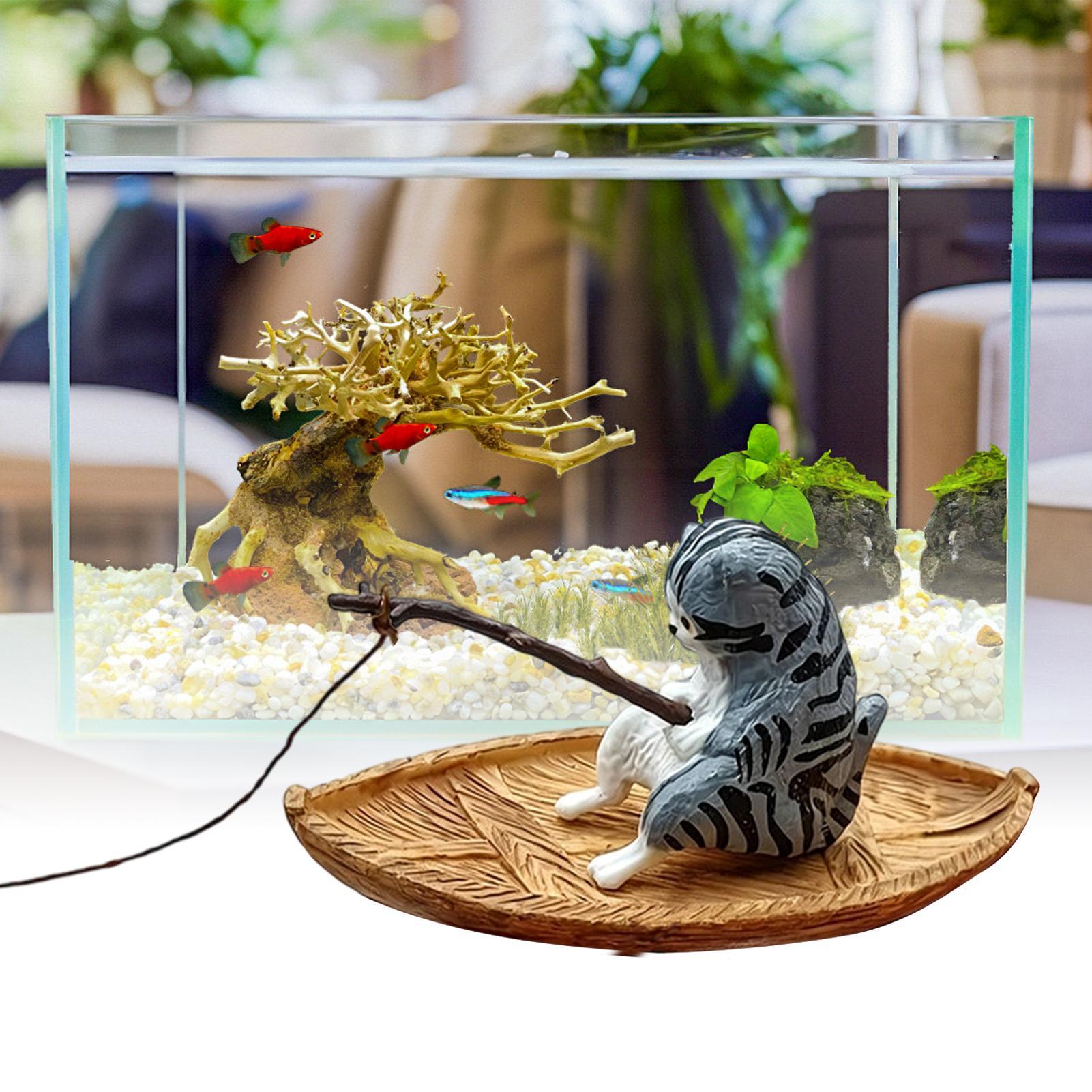 Yaratıcı Kedi Balıkçı Teknesi  - Aquarium Marina incelemesi ve fiyatı