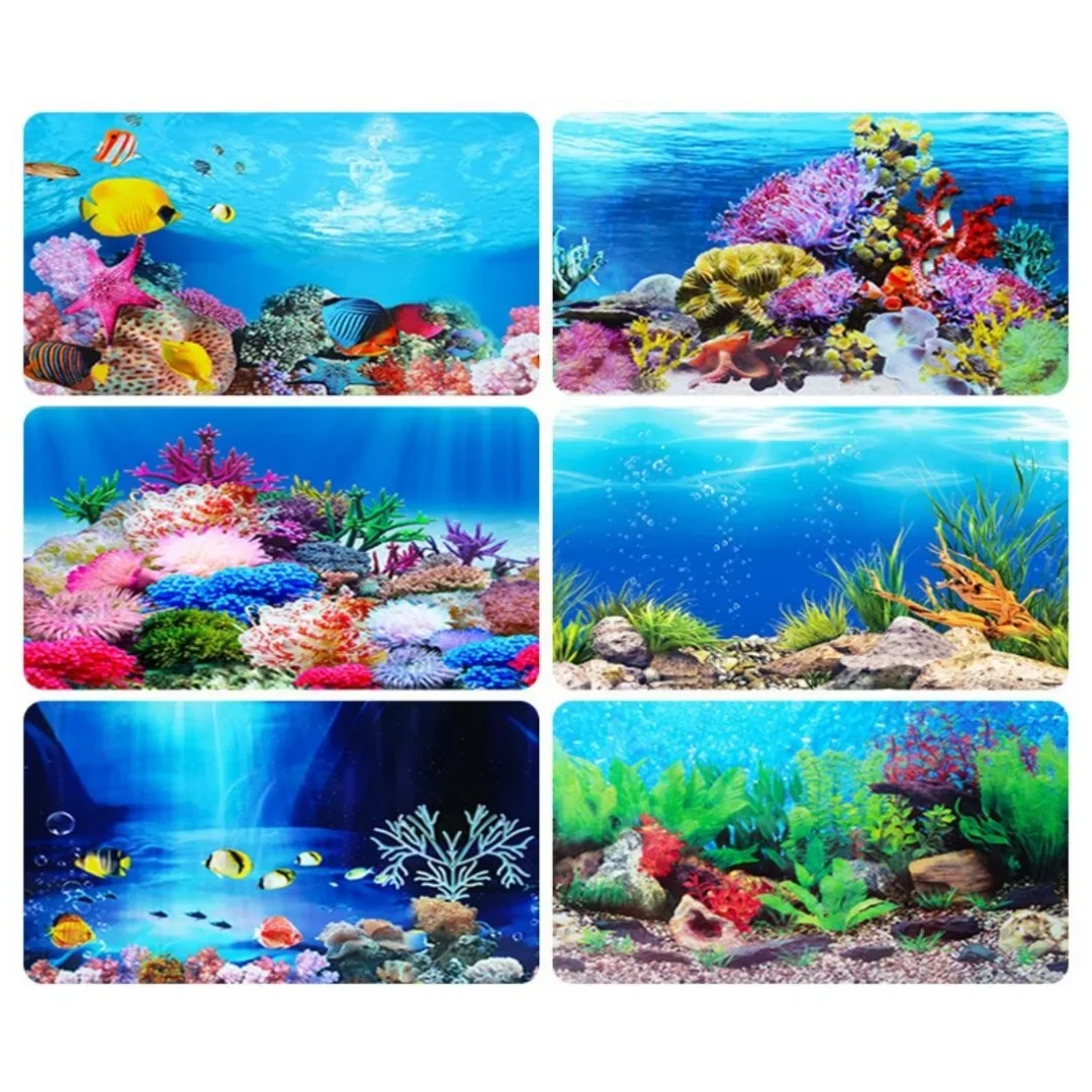 Arka plan Akvaryum 3D Etiket P - Marine Aquarium Aquascape incelemesi ve fiyatı