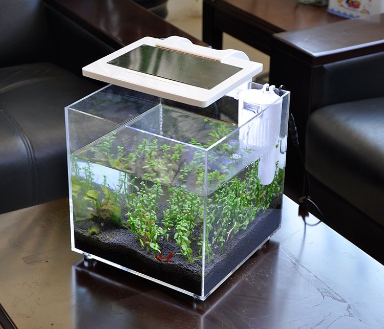 Mini Akrilik (25*25*25cm) Aydı - Aquarium Marina incelemesi ve fiyatı