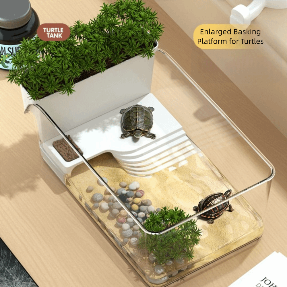 Şeffaf Kaplumbağa Tankı, Güneş - Marine Aquarium Kit incelemesi ve fiyatı